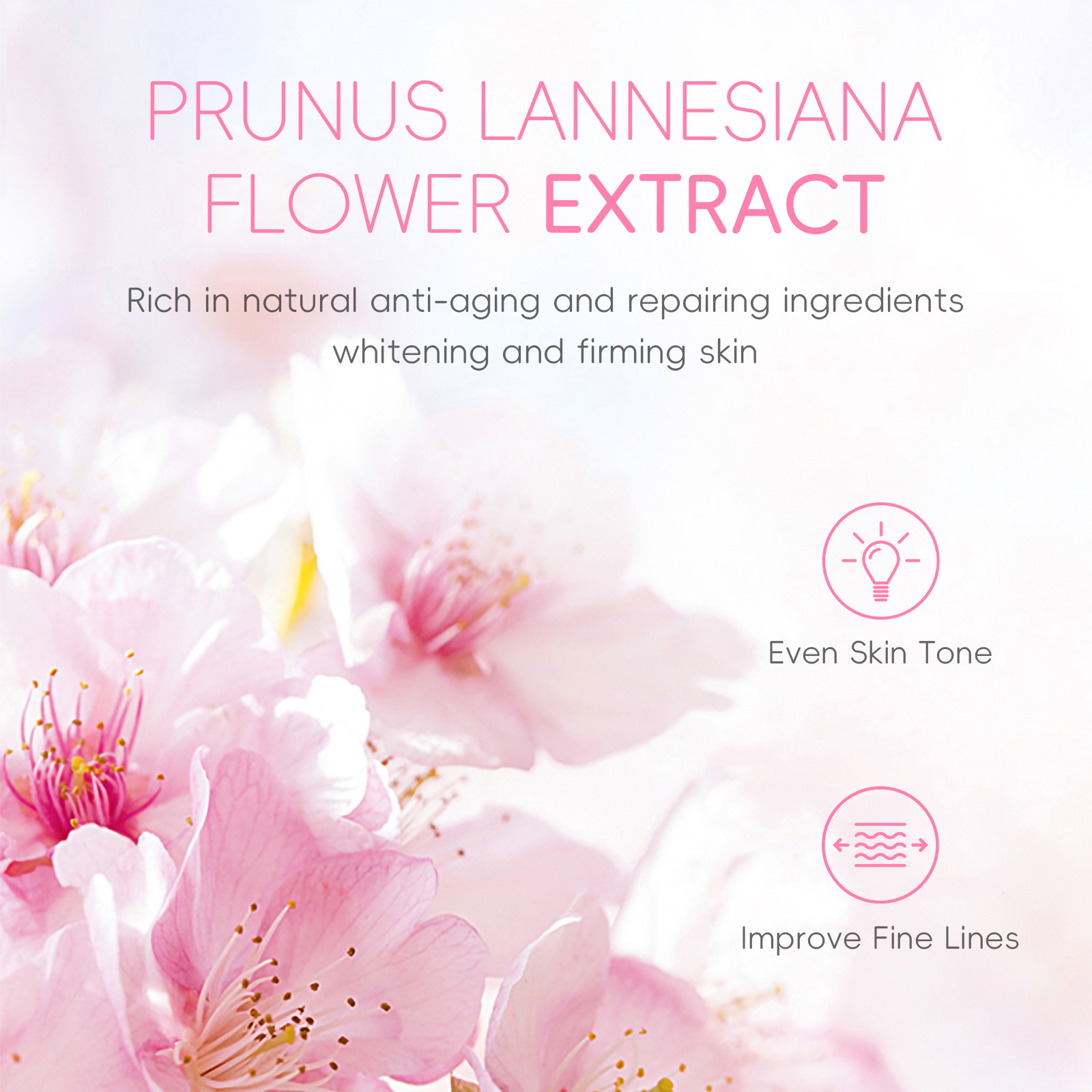 Cross-border Fenyi Cherry Blossom Eye Serum 15ml Hydrates, moisturizes and cares for the skin around the eyes. Manufacturer's supply undefined
