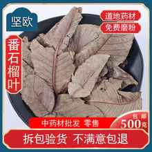 番石榴叶中药材新鲜晒干翻石榴干叶芭乐叶茶散装食用潘石榴叶泡水