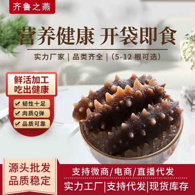 辽参即食海参独立包装速食营养免泡发海鲜工厂直发鲜海参一件代发