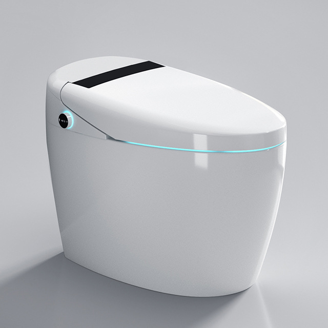 El nuevo retrete elegante automático 110V CE inglés extranjero/CPUC/SASO formuló fila de la pared de la fila del piso