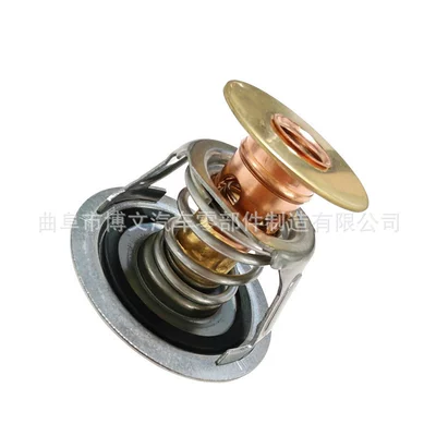 Thermostat, Thermostat