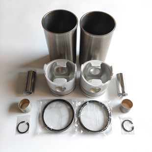 ��ҰEM100�l�әC������ ���׽M�� �����N���� �h �B�U�~��  HINO