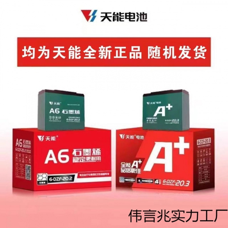 バッテリーカー鉛酸ティエンナーバッテリー 48V 電気自動車バッテリー 36V60V72V 三輪車バッテリー交換|undefined