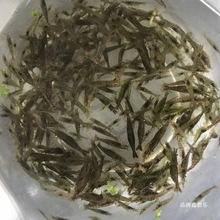 ���r���r���r�r����^�p�������坍�r���w�r�����r���~��ϳ�����