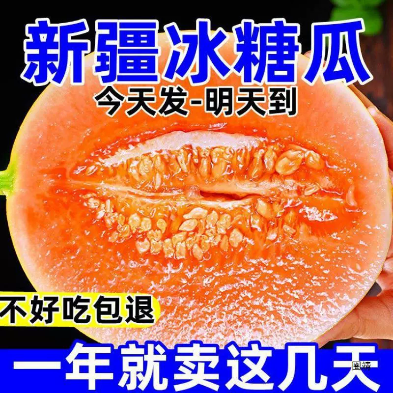 Сладкий и сочный десертный желтый речной мед из Гансу Минцин, свежий дынный сезонный дынный фрукт.