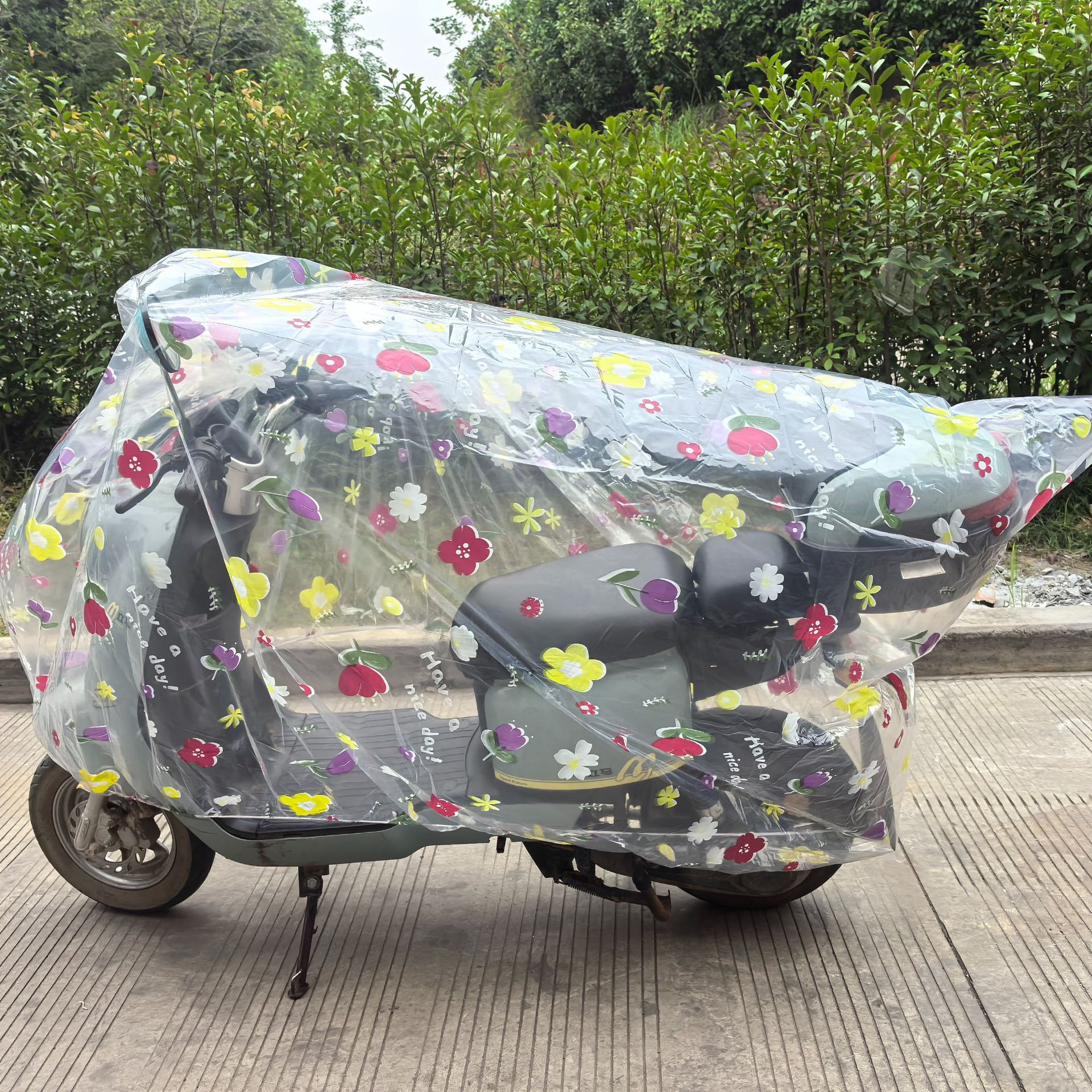 투명한 꽃 버전 2.0