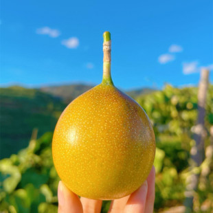 ������� ���p��{���x�ľW�t���������ǰ����3�����rˮ�����l