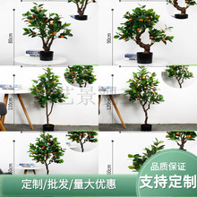 ���Ә��辰 �Ҿ��҃�ֲ���b����ϼٻ� �辰�������l�^�pֲ��Gֲ