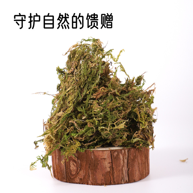 天然花草墊料倉鼠蘆丁雞除臭裝飾用品金絲熊飼養箱籠子造景乾苔蘚
