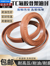 ���z�Ǽ��ͷ�ȏ�33-44�͸��ܷ�Ȧ��ĥ�͸ߜعǼ��ͷ�TG4���ݼy