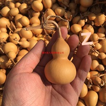 ���������^��Ȼ�غ��J�����������J������ؔ�����С���J����J