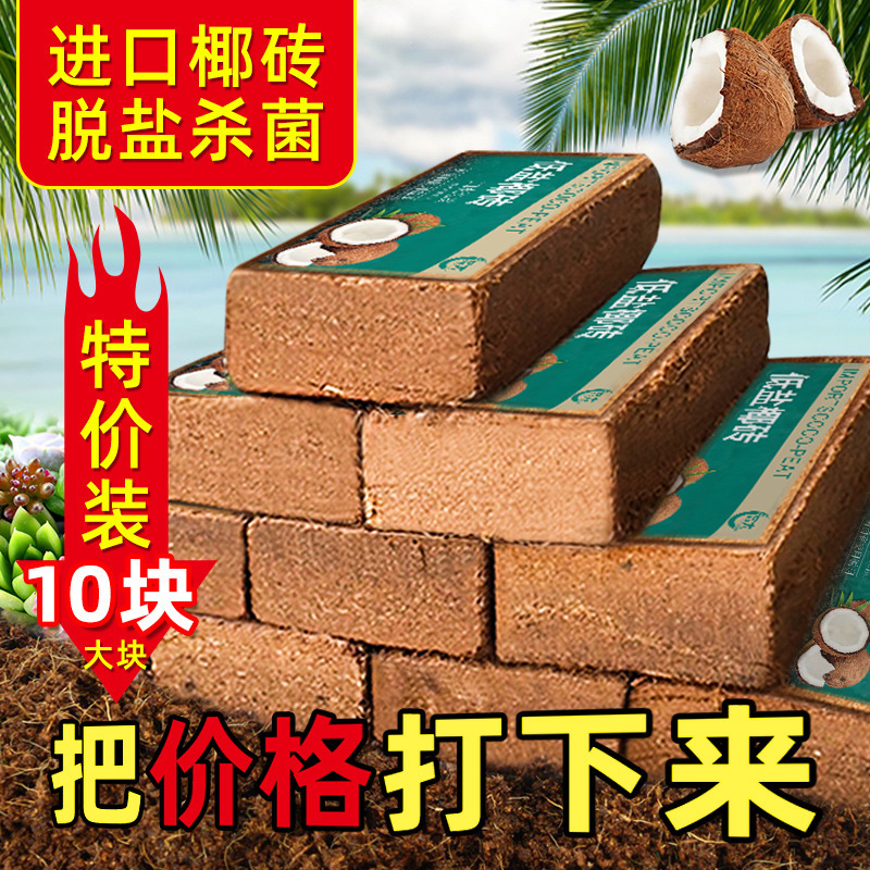 Coconut Brick Large quantities General type Coconut husk compress soil Planting soil Vegetables Gardening Flowers Coconut soil