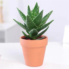 �J�C�����҃ȳ���ȩ�����՚⻨�ܾGֲ�k�������ƶ���ֲ���ļ����B