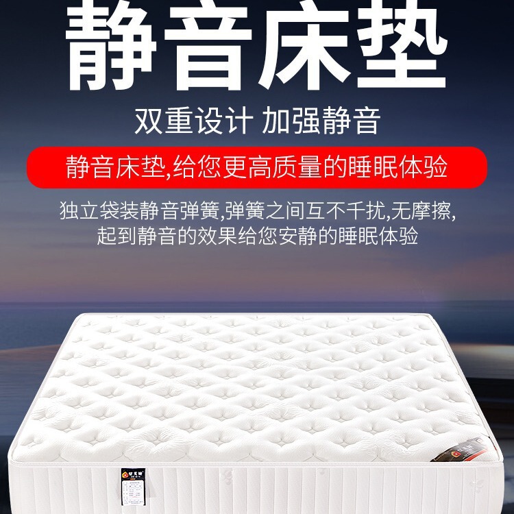 席梦思床垫软硬两用20cm厚1.8米1.5m家用宿舍经济型独立弹簧床垫|undefined