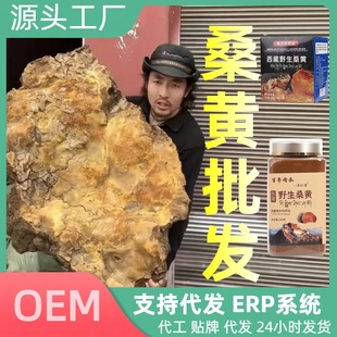 ɣ�Sɣ��ɣ�S���ɣ�S��ɣ�Sɣ�S��ɣ�S��ɣ�S�ЉK���ٰ��b