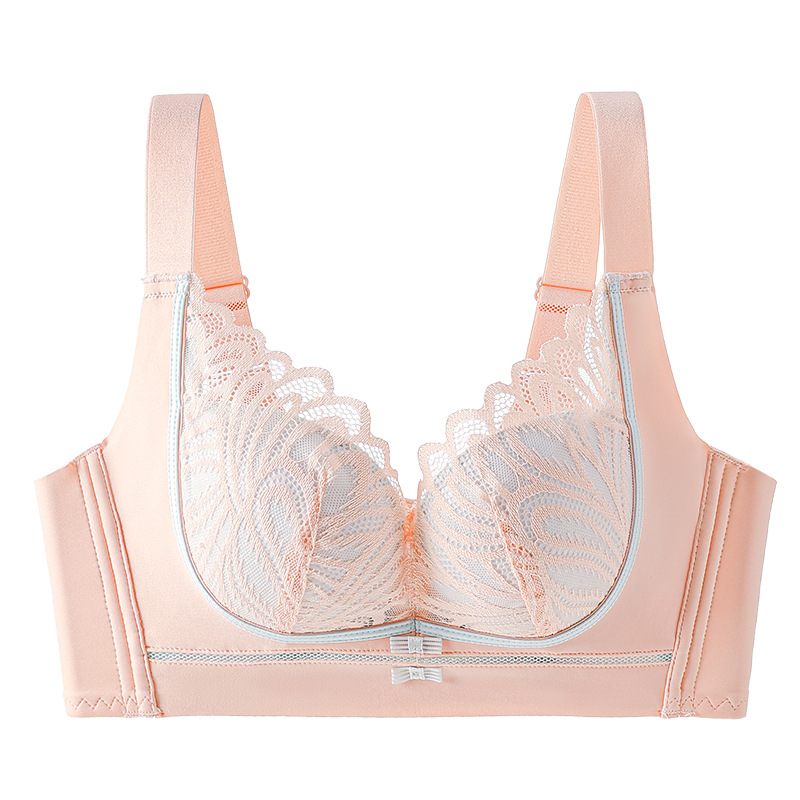 복숭아 가루 [단품]