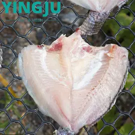 其他塑料网;塑料挤出机