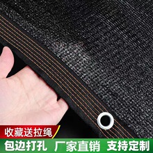 �W����̨�S������ͥԺ��ꎾW��߅������Q����ȫ�ڹ����w����