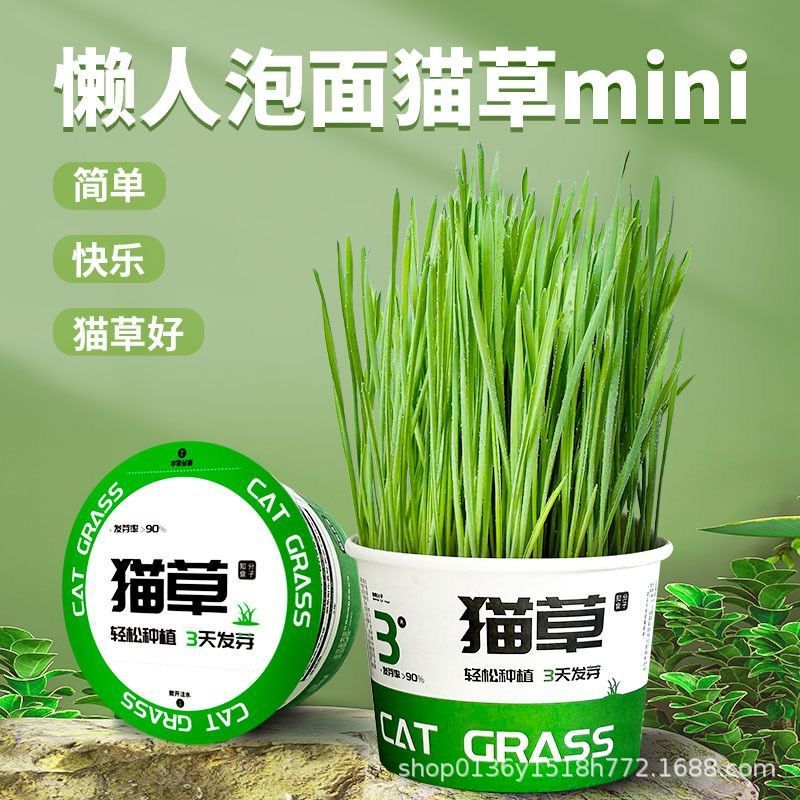 Trendy Lazy Cat Grass Seeds for Adult and Kitten Cats, All-Season Cat Grass for Self-Planting, Edible Cat Snacks for Hairball Removal Trendy Lazy Cat Grass Seeds for Adult and Kitten Cats, All-Season Cat Grass for Self-Planting, Edible Cat Snacks for Hairball Removal