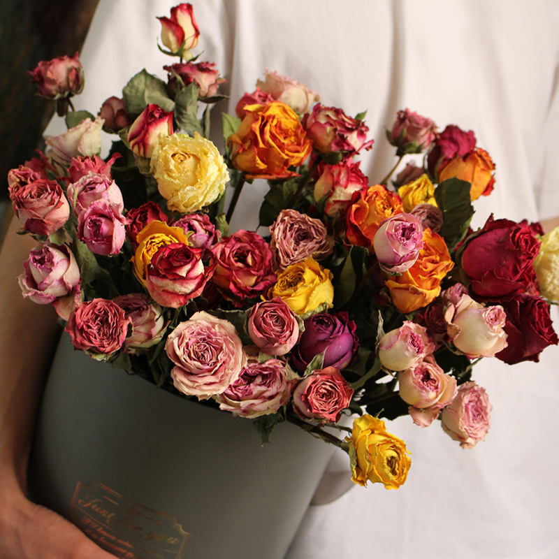 New Rose Dried Flower Real Flower Decoration Flower Arrange Holiday Gift Mother's Day 520 Flower Material Yunnan Straight Hair New Rose Dried Flower Real Flower Decoration Flower Arrange Holiday Gift Mother's Day 520 Flower Material Yunnan Straight Hair