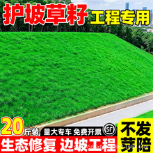 �o�¹��������ļ����๷����ͥԺ������̺��Ƥ�G��������ƺ�N����