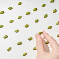 One-off wholesale original raw sweet and savory pumpkin seeds 500g snack nuts specialty roasted goods, dried fruits and nuts.