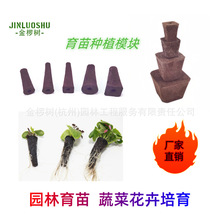 炭绵蔬菜种植机海绵黑绵土扦插无土栽培块营养钵育苗盆一次性植物