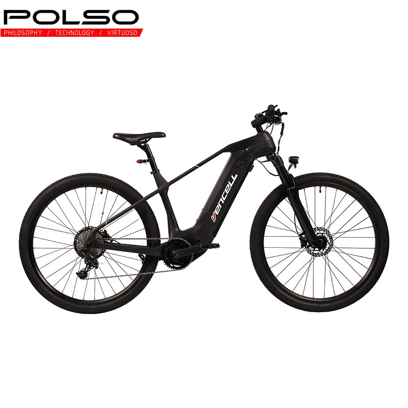 Electric-Assisted Mountain Bike, 11-Speed, 29inch Lithium Battery, Carbon Fiber Frame, Mid-Drive Motor, Hydraulic Disc Brakes for Riding