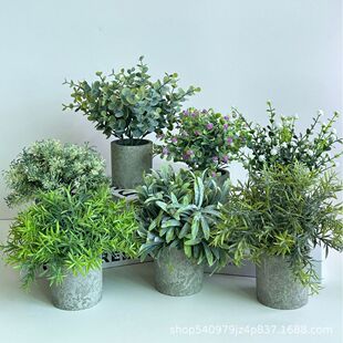 ���滨���ԬF؛���R�d����M�ψA�����{�Ҿ��������ֲ��ٻ��辰