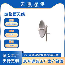 2400-2500MHz�������쾀-22dBi-100w-2*Nĸ��-�o���W�j���