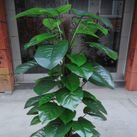 FUENTE Fábrica al por mayor de la planta de simulación árbol 63 Paquete de hojas Goteo marrón Guanyin rábano verde de hoja perenne planta verde árbol falso