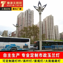 道路照明灯;太阳能灯;庭院灯