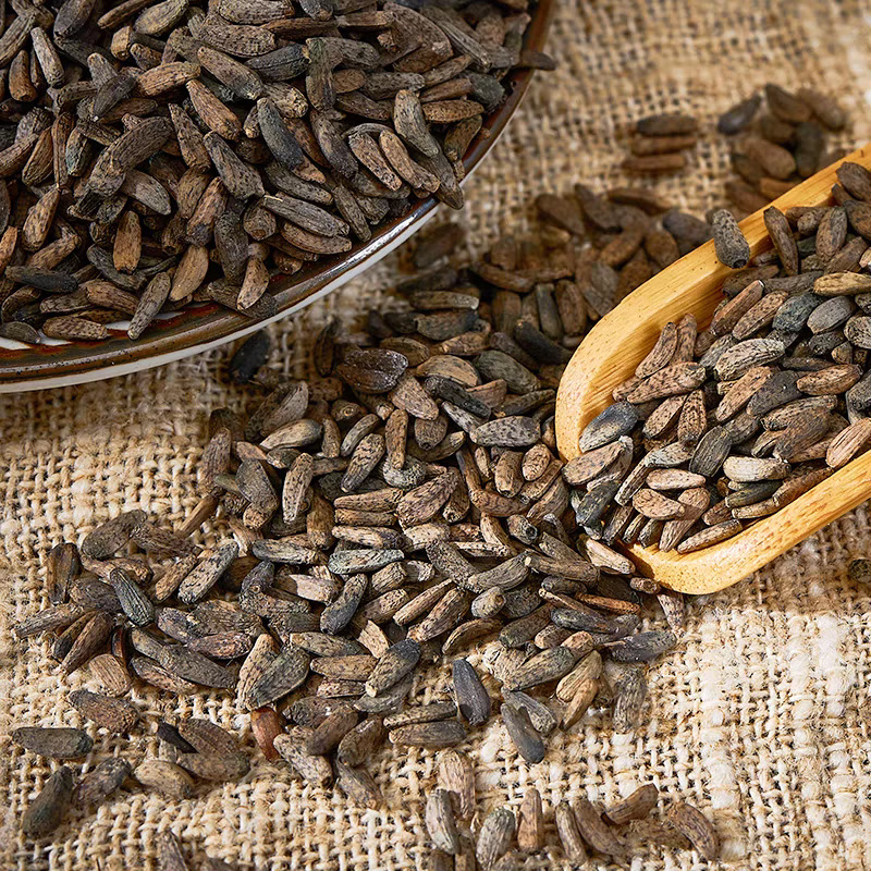 Dried Burdock Seed Niu Bang Zi 500g Natural Sun-Dried Arctium Fruit for Tea and Decoction quality and texture