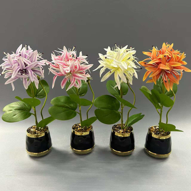 新款植物小盆栽 客厅玄关氛围感装饰仿真植物摆件家居装饰仿真花|undefined