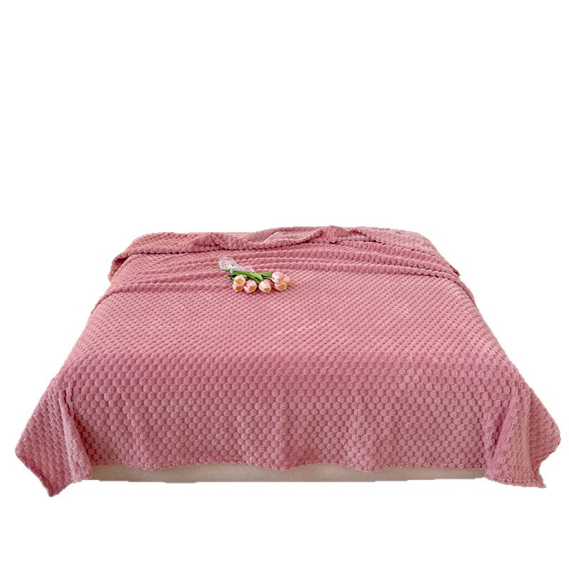 2025 nueva manta dorada de lana de seda manta de siesta manta de cuatro estaciones manta de sofá de color sólido universal manta de lana de coral nórdica