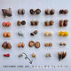 With sheep horn nail handmade diy fruit natural acorn lotus open mouth smile plant fruit creative earrings bracelet fruit