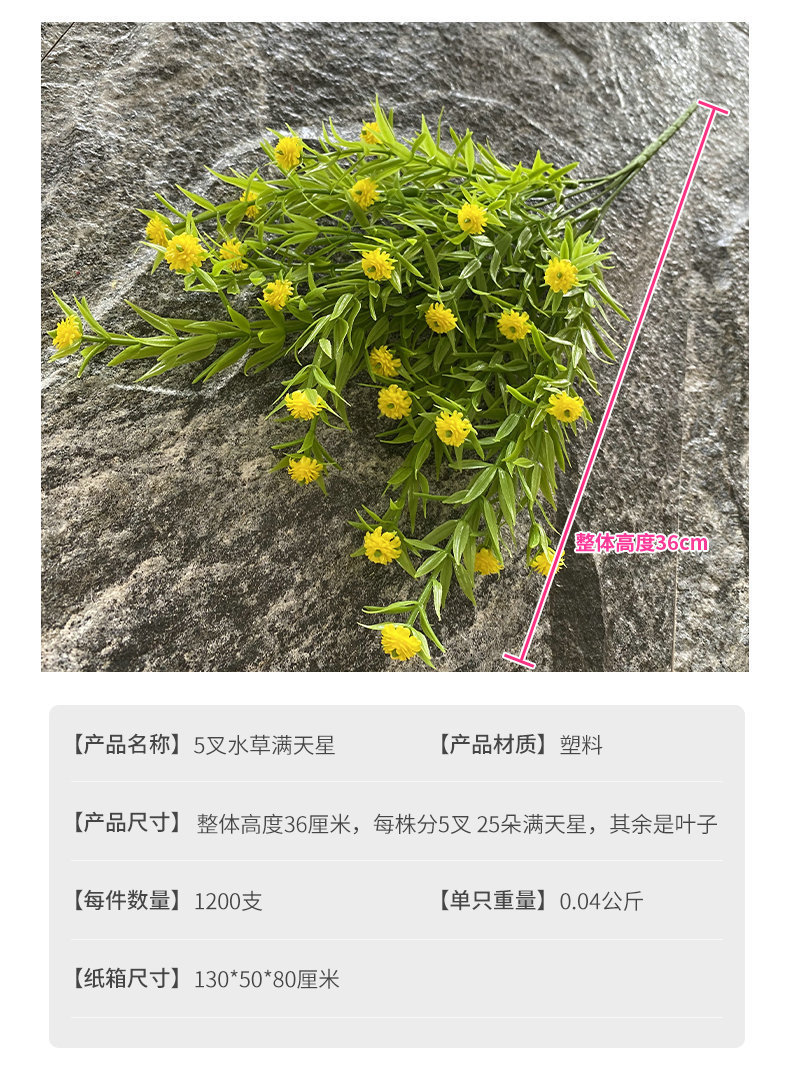 参数.jpg