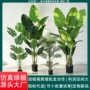 仿真植物盆栽大型橄榄树