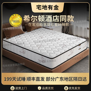 Hilton Five Star Hotel Simmons Sponge Mattress Latex Coconut Silent Independent Spring 20CM Thickened Cushion