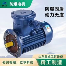 煤矿用粉尘隔爆型三相异步电动机 高压电机化工机械矿山专用电机