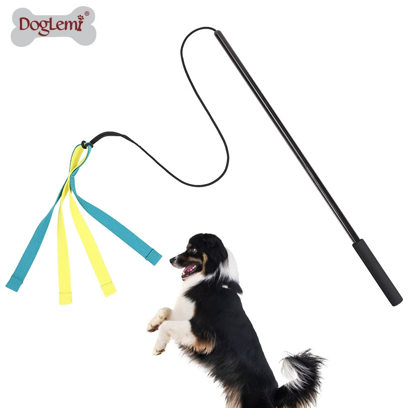 Домашняя собака стряхивает палку игрушка укус