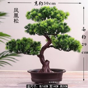 ӭ���ɻ�c��ˇ���԰lؔ��Gֲ�ٻ��Ҿӿ͏d�辰���ϔ[���b�