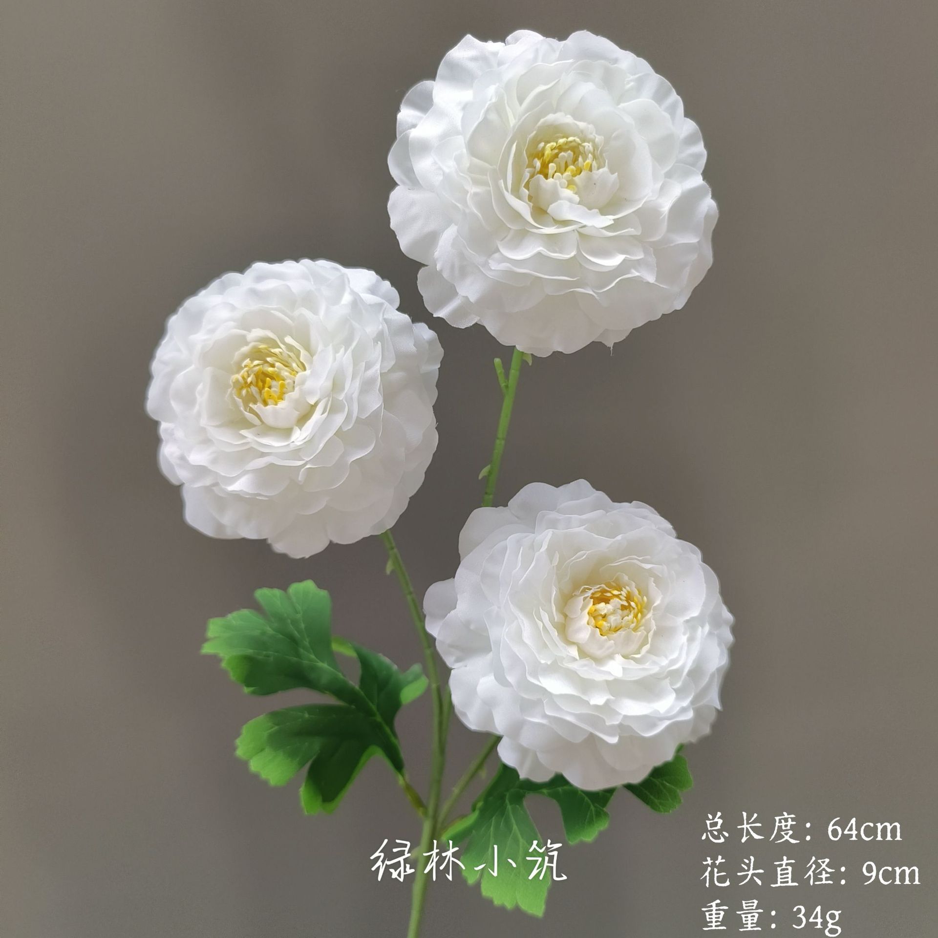 상품 번호 231 - 용금잉어