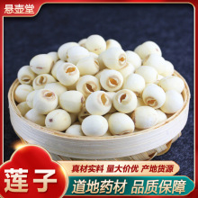 ��ɏ�Ӽt�B�Ӹ�ɏ����ɏ��о���w��ʯɏ��ɏ��횴��������ă�