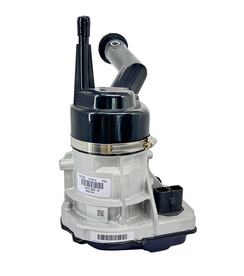 308/Applicable to Peugeot Power Steering Pump, Citroen Car Power Steering Pump, Hydraulic Power Steering Pump Parts, Cross-Border Electric