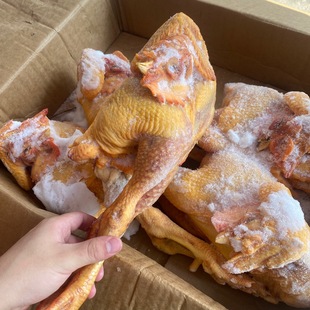 ɢ�B�����u�S�_�u���u ����4/5ֻ19��/����� ���u���l�������l