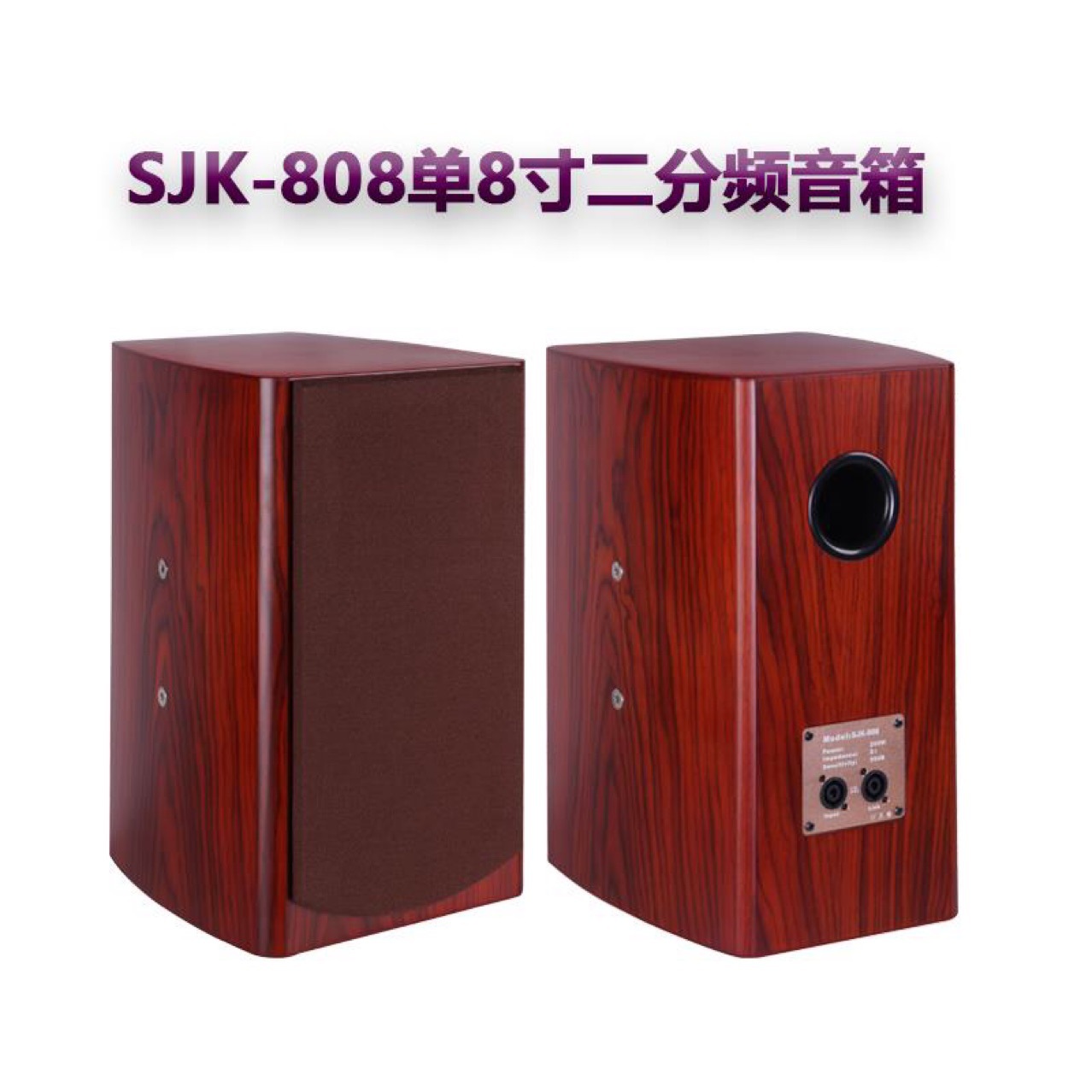 Home 2,0 home theater karaoke traje de audio con micrófono inalámbrico amplificador de efecto de nivel frontal Villa altavoz