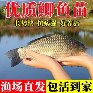 �a�~���п���̖��ˮ�Bֳʳ���S���a��녹����a����a���a�~����