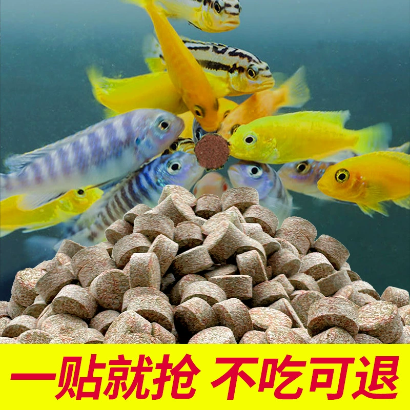 Пятновый корм для рыб мелкая корм для гуппи, корм для Bettas, корм для золотых рыбок, тропических рыб универсальный, красная нитевидная личинка, артемия
