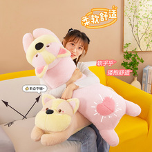 �ɐۿ��湷����ſſ����żë�q��߹��в�����˯�X�A��Ů���նY��